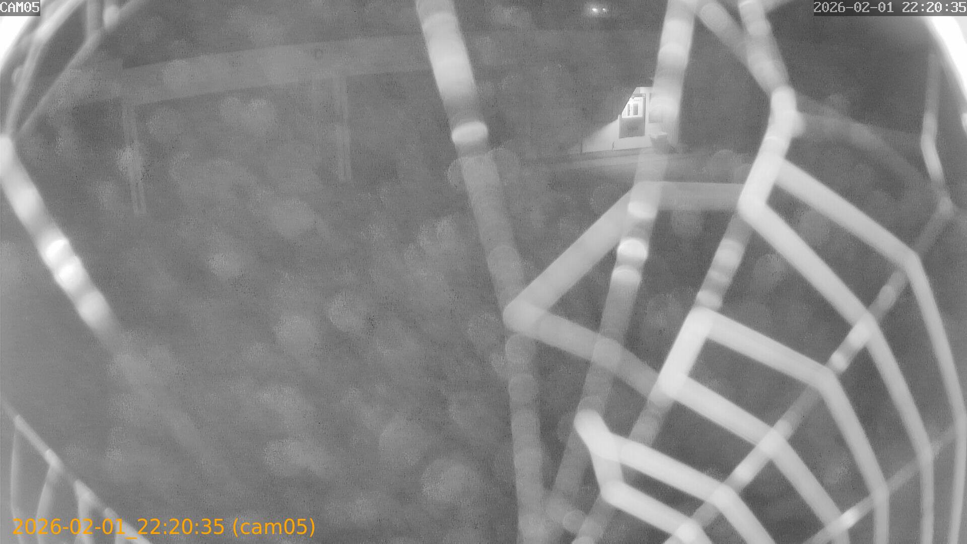 thumbnail_20260201222035