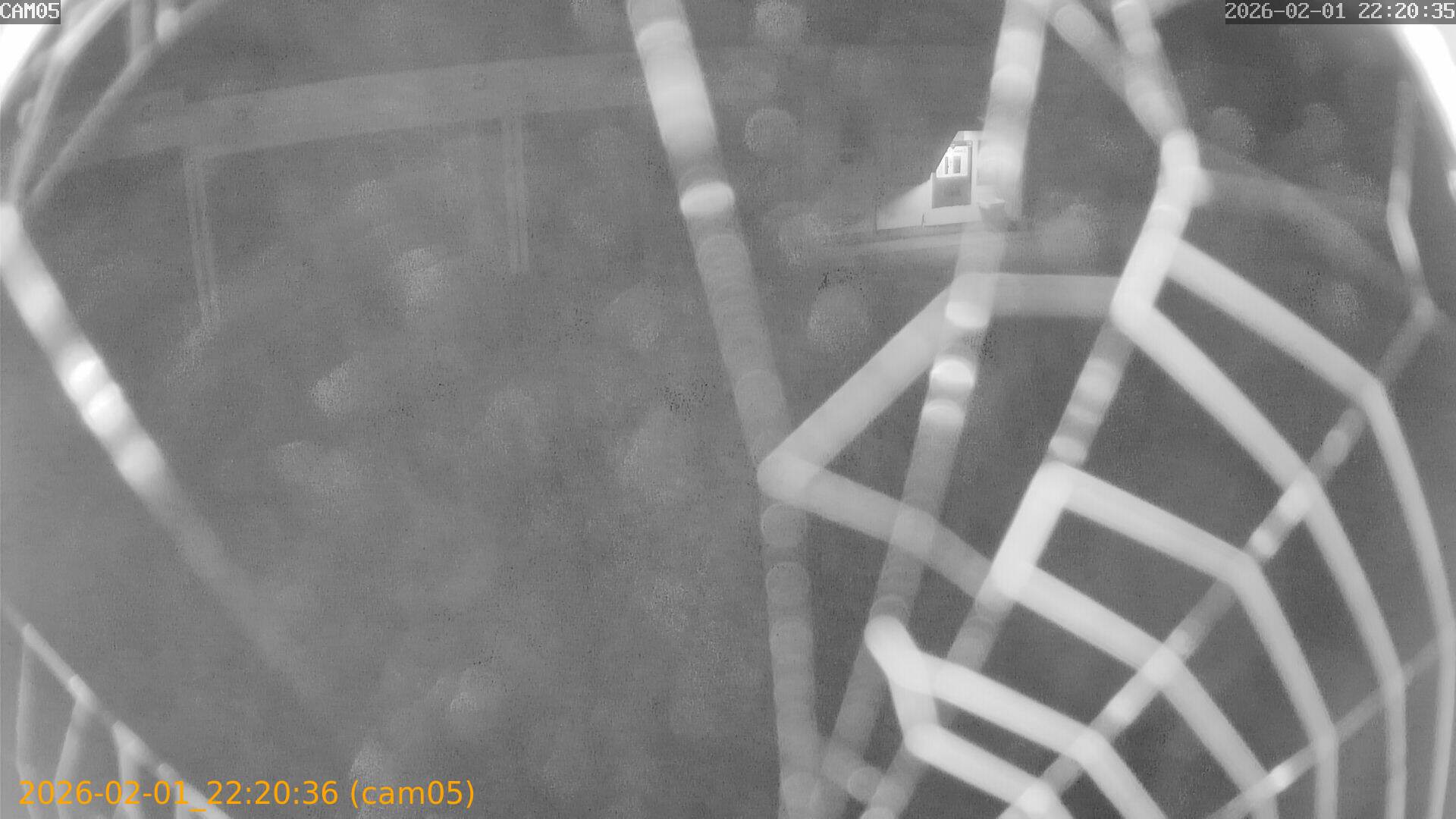 thumbnail_20260201222036