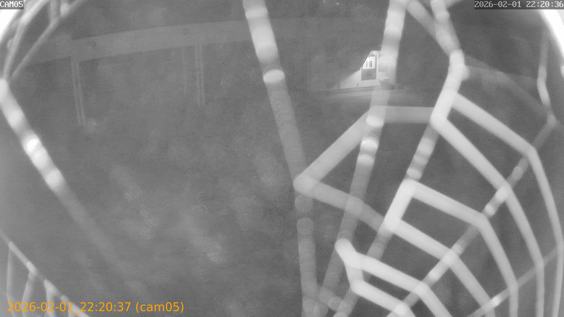 thumbnail_20260201222037