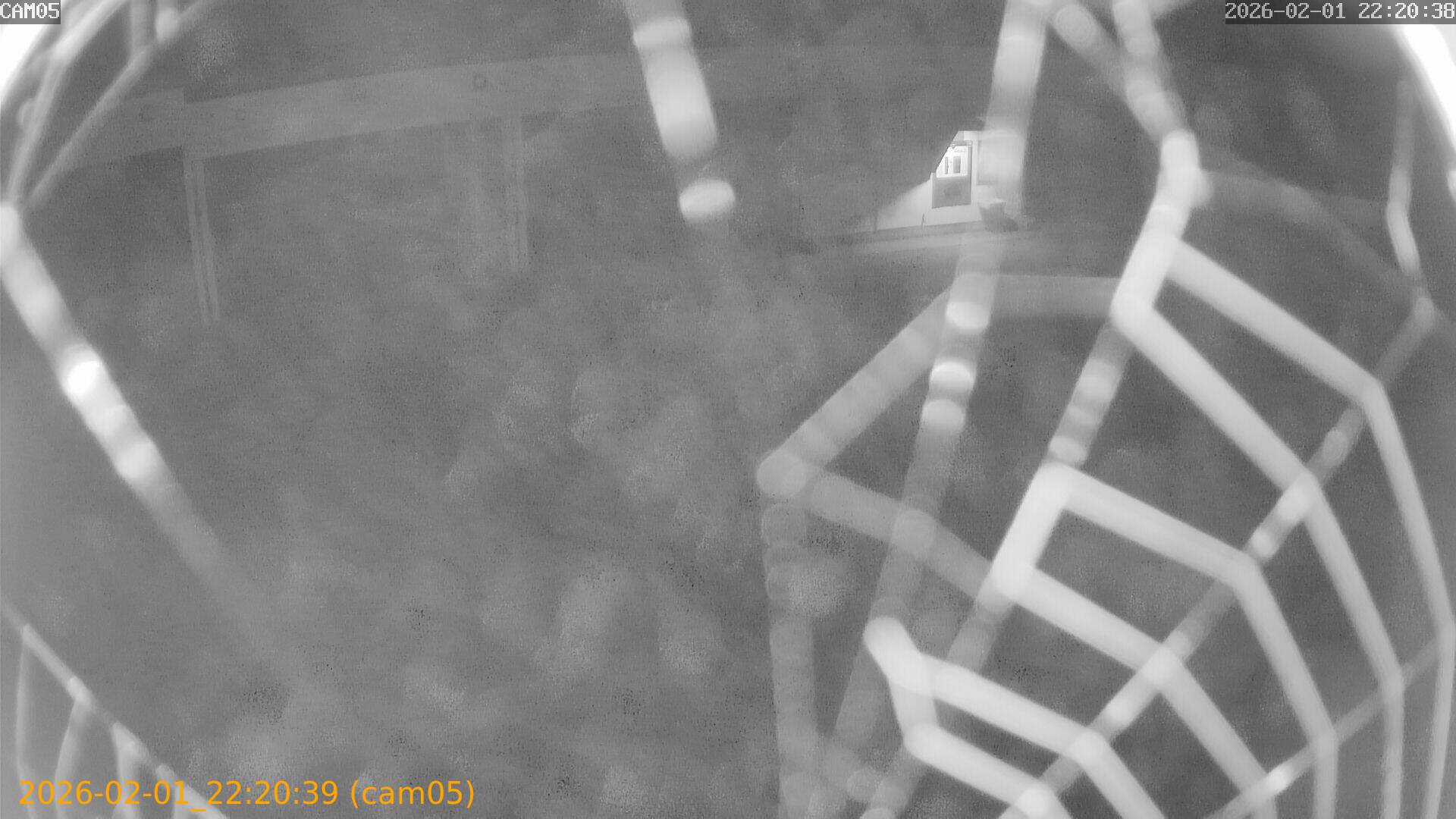 thumbnail_20260201222039