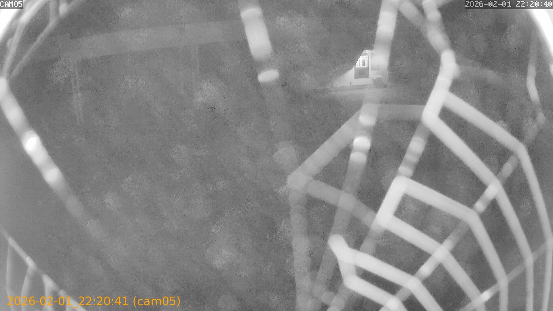 thumbnail_20260201222040