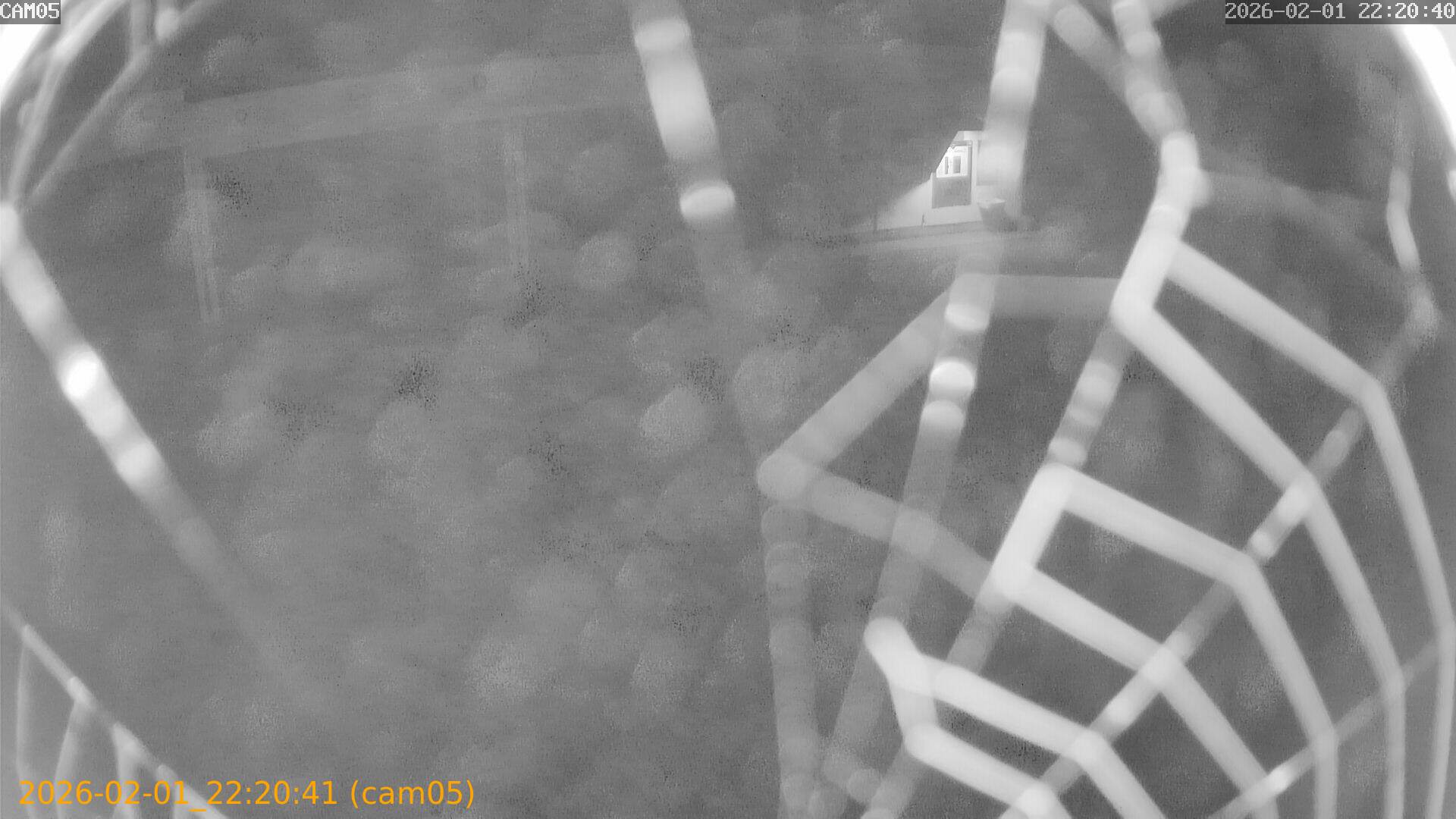 thumbnail_20260201222041