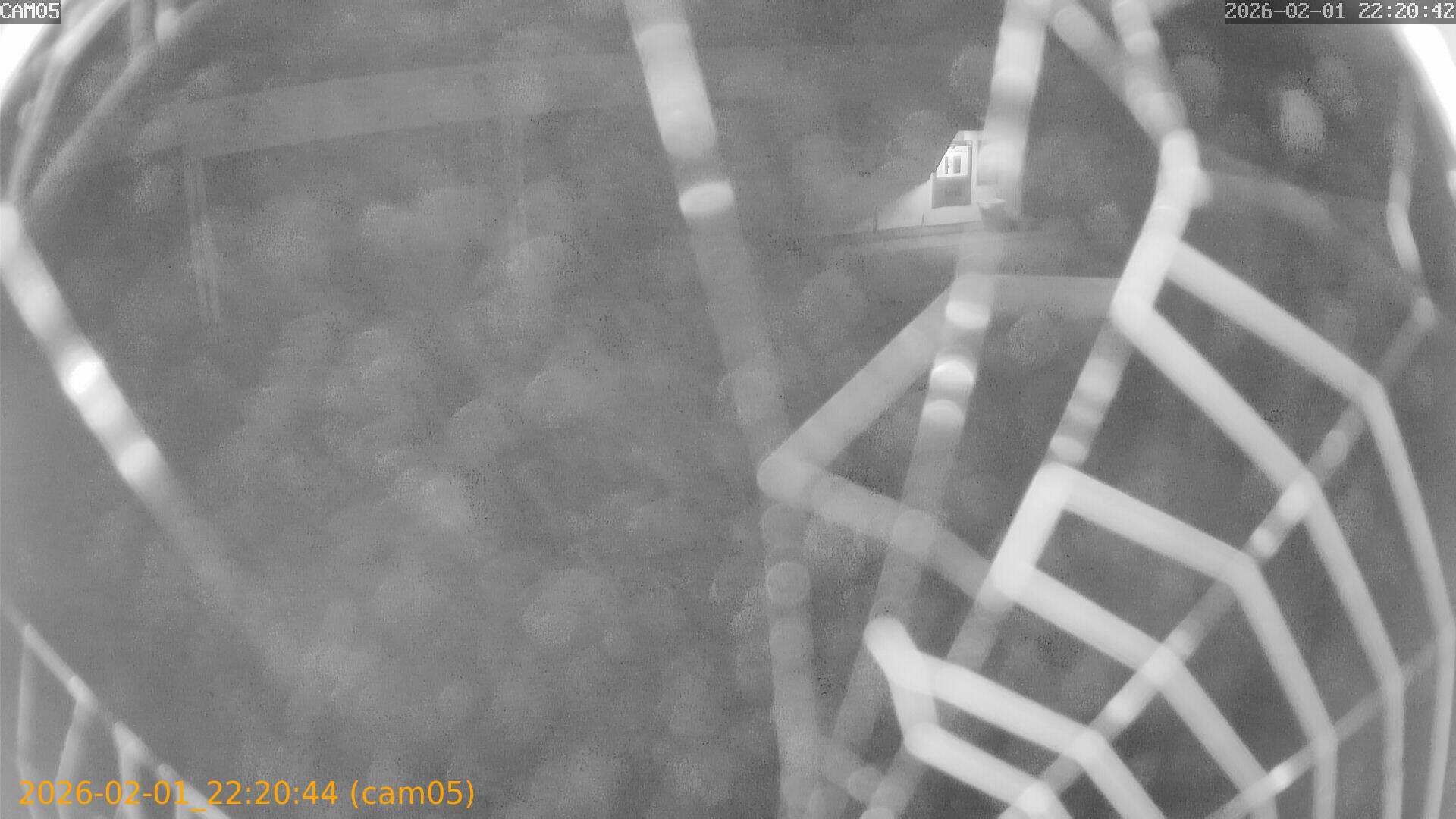 thumbnail_20260201222043