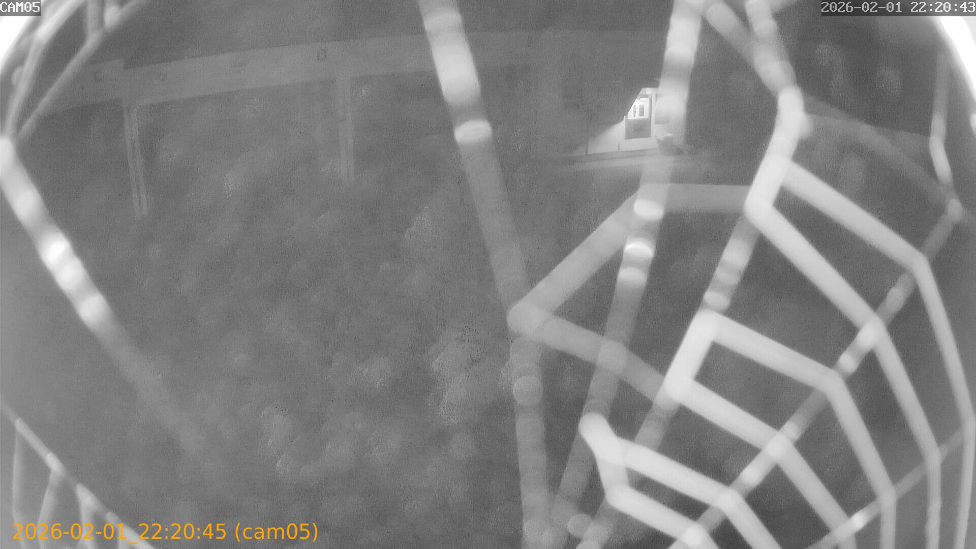 thumbnail_20260201222044