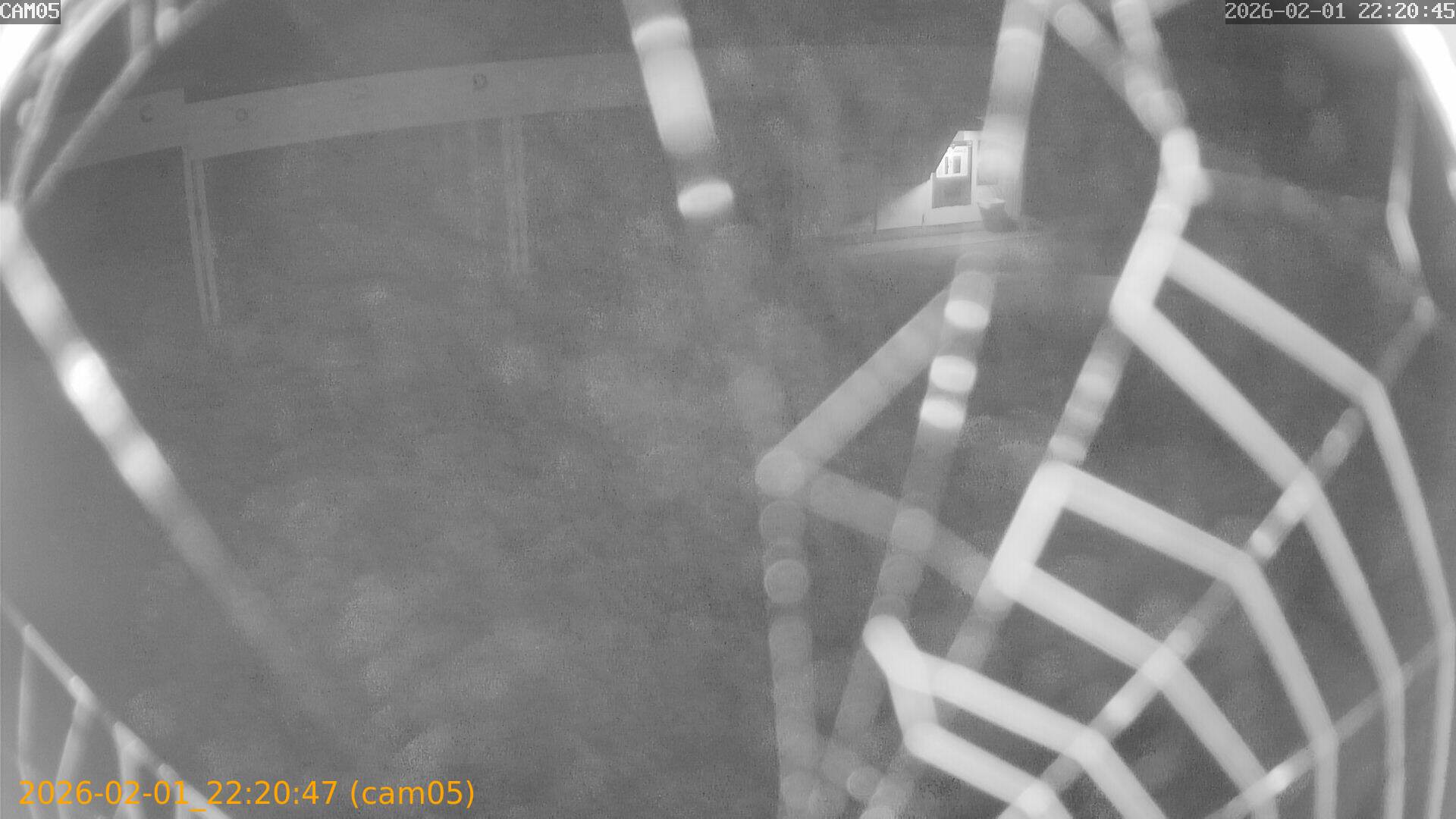 thumbnail_20260201222047