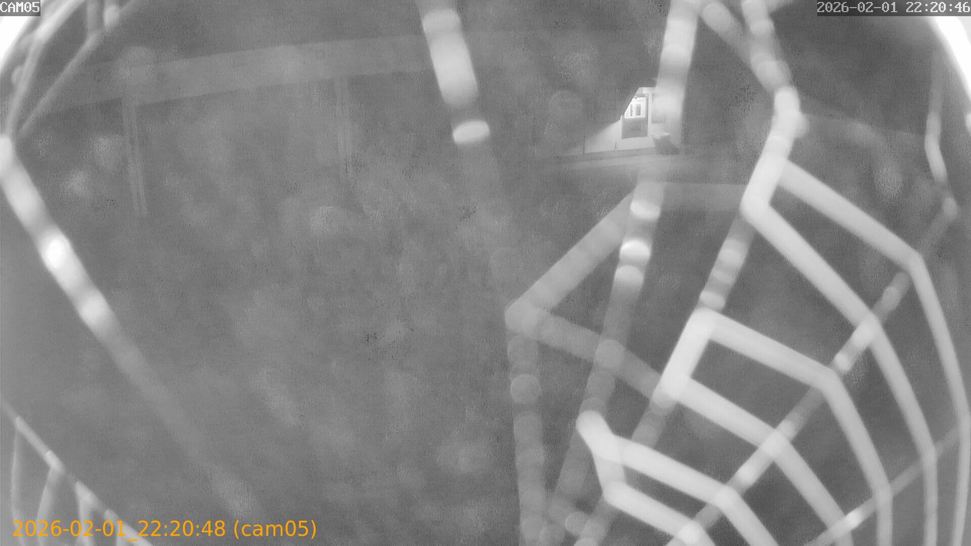 thumbnail_20260201222048