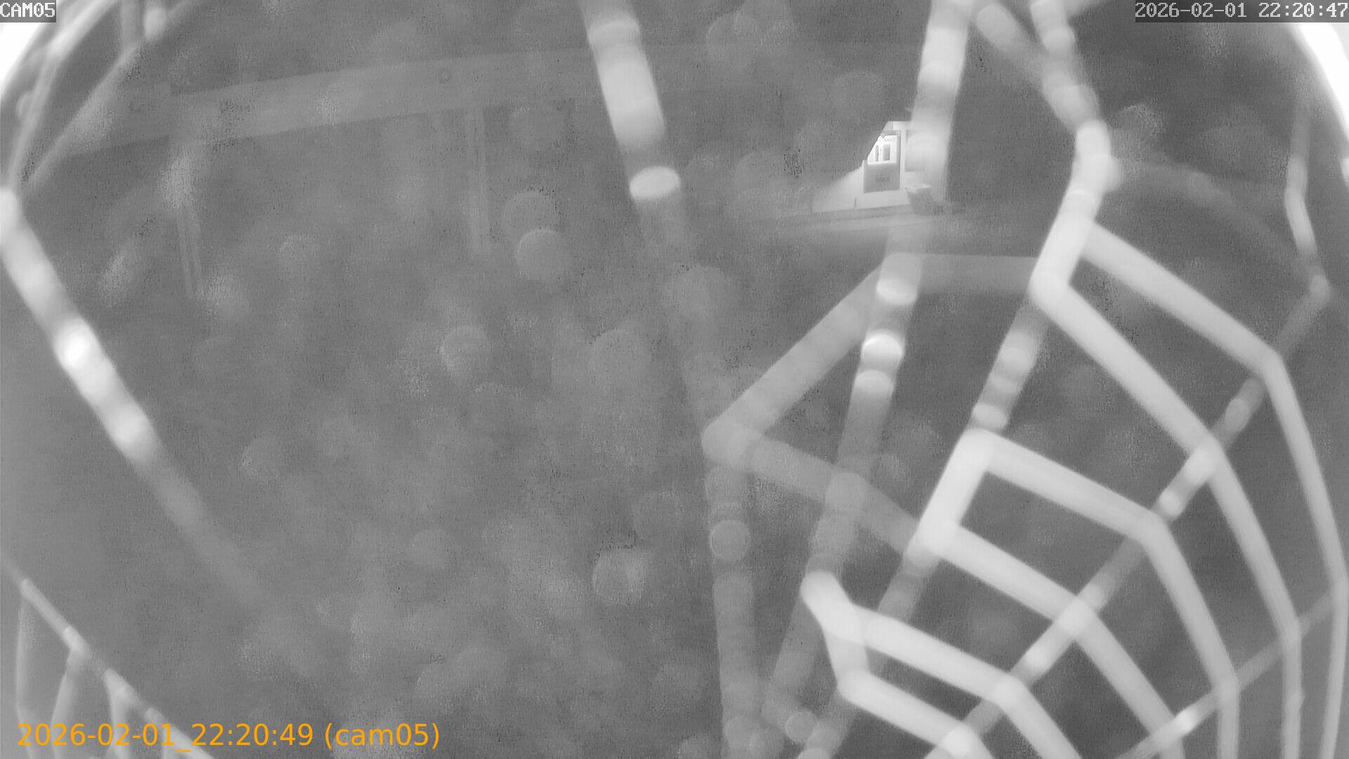 thumbnail_20260201222049