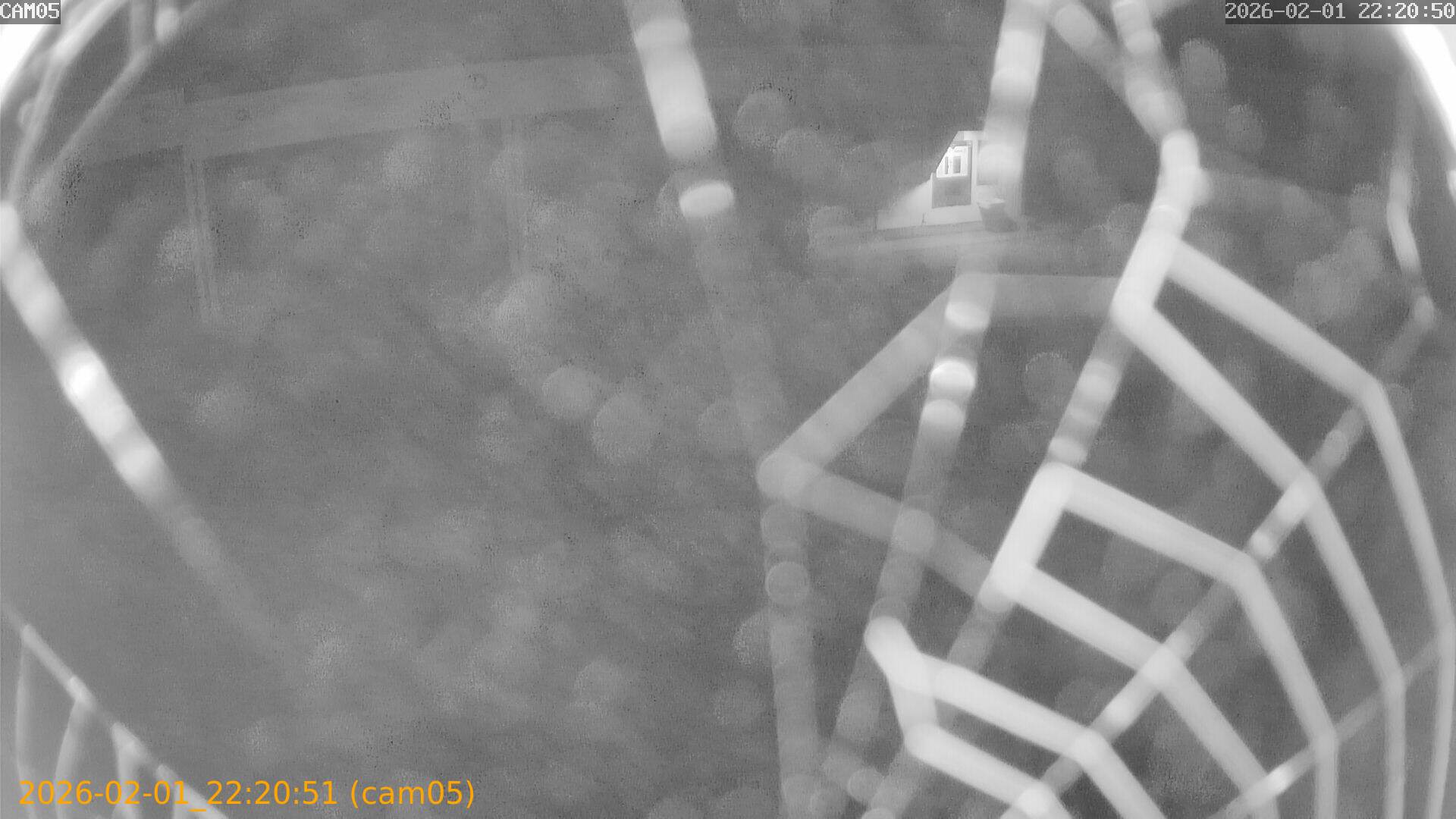 thumbnail_20260201222051