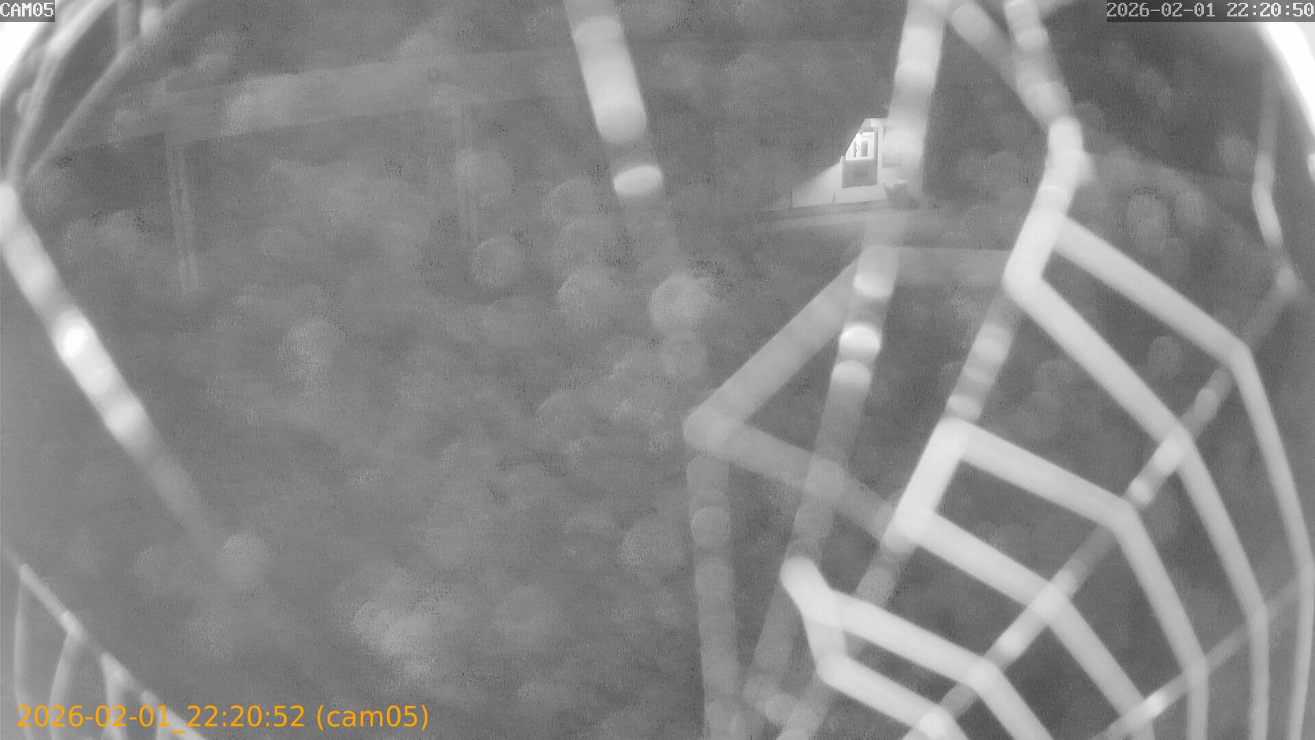 thumbnail_20260201222052