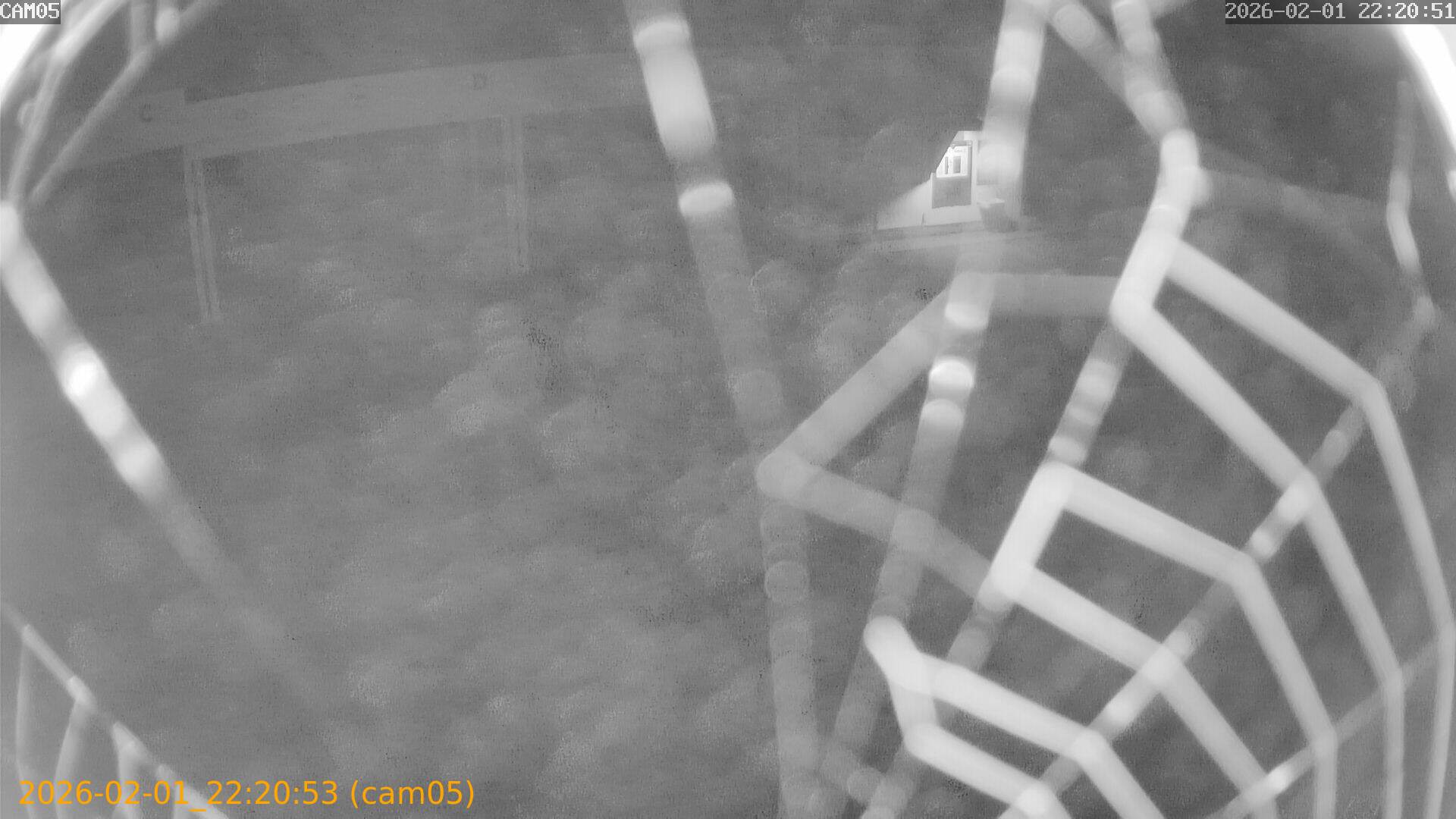 thumbnail_20260201222053