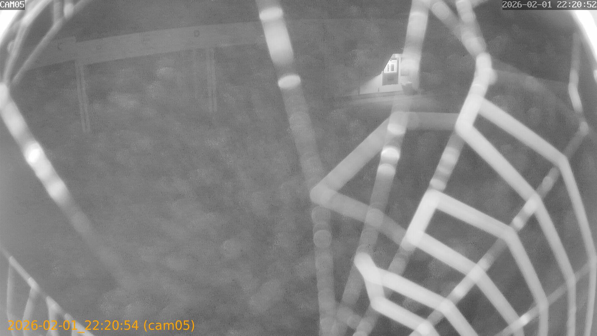 thumbnail_20260201222054