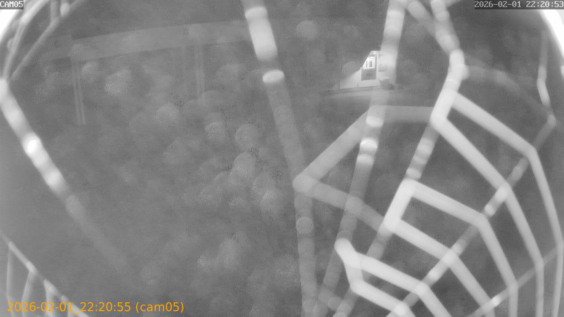 thumbnail_20260201222055