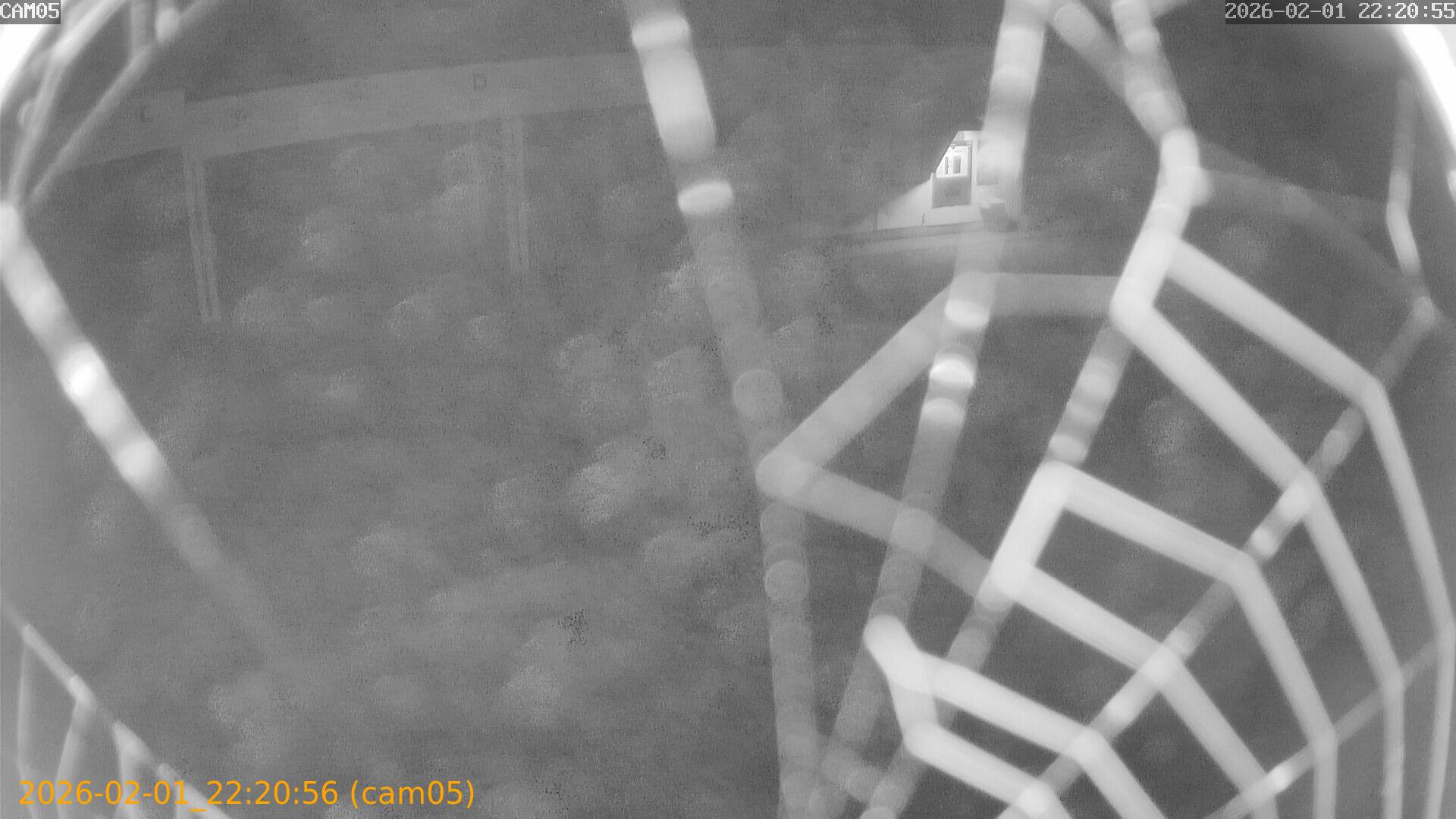 thumbnail_20260201222056