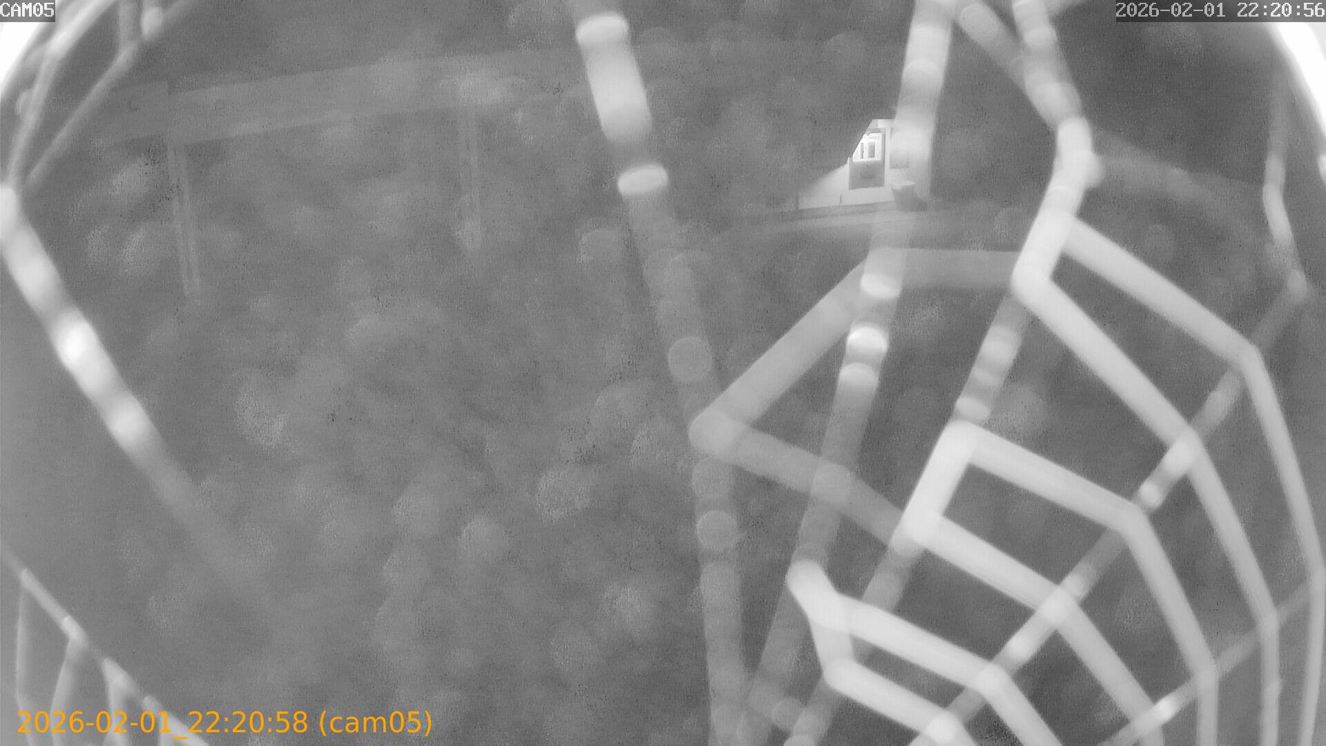 thumbnail_20260201222058