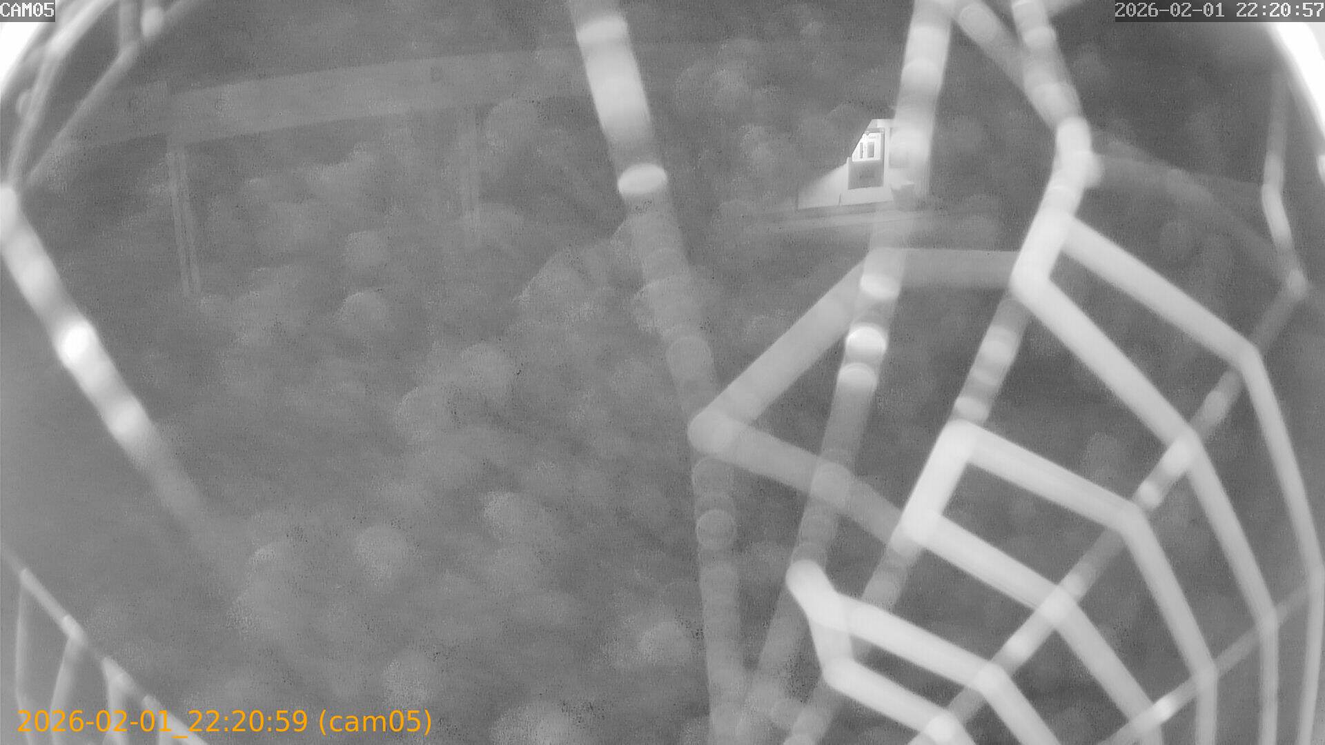 thumbnail_20260201222059