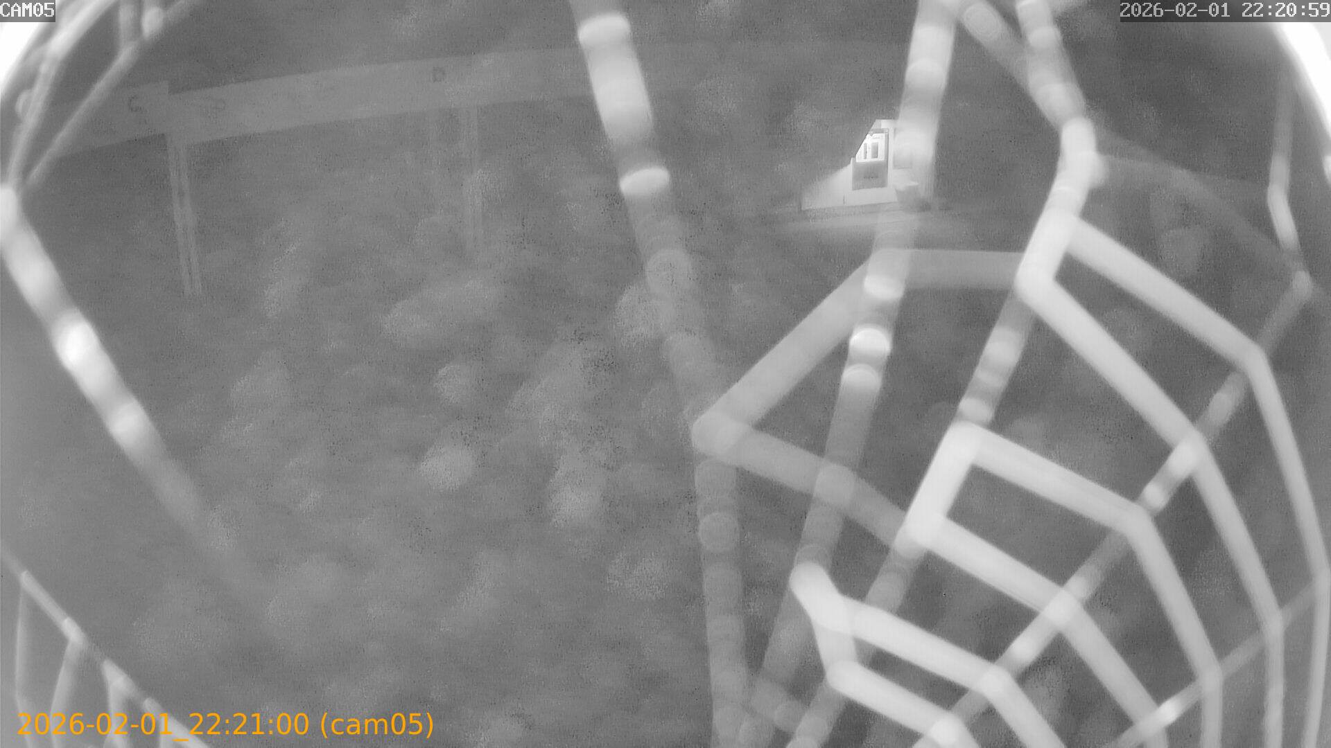 thumbnail_20260201222100