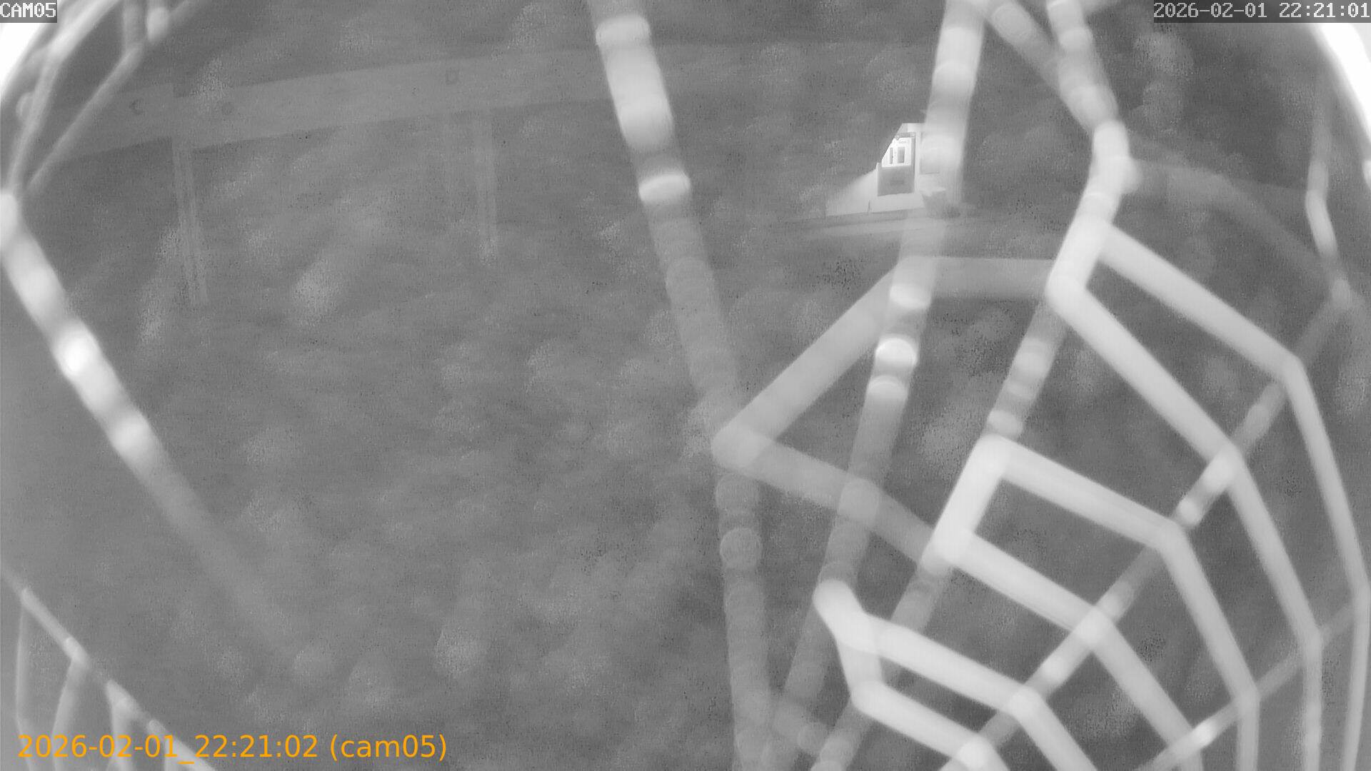 thumbnail_20260201222102