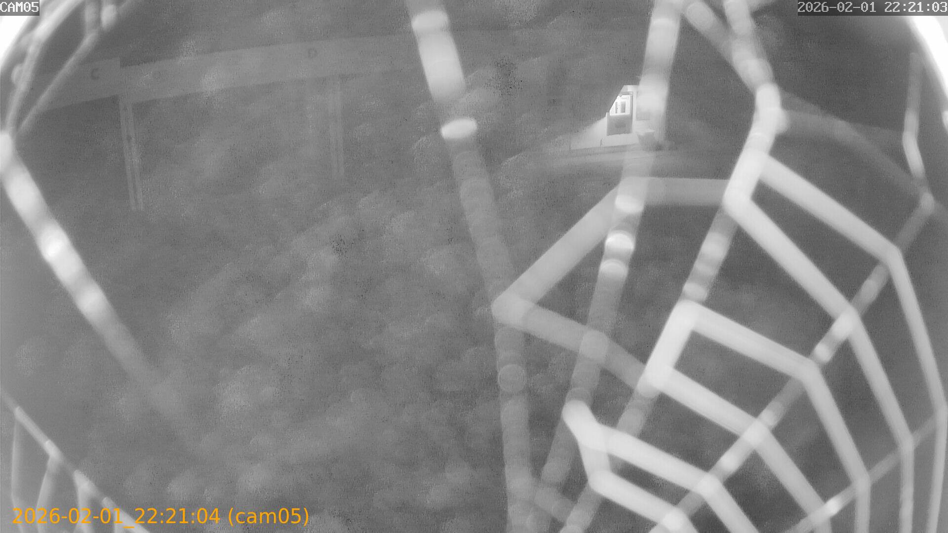 thumbnail_20260201222104