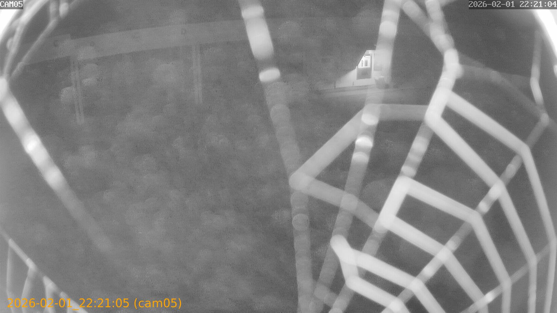 thumbnail_20260201222105