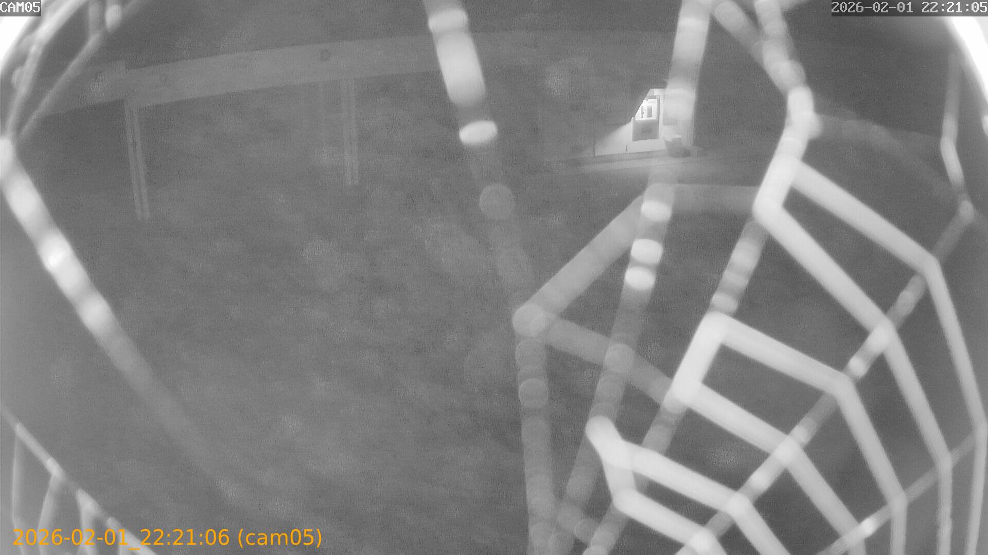 thumbnail_20260201222106