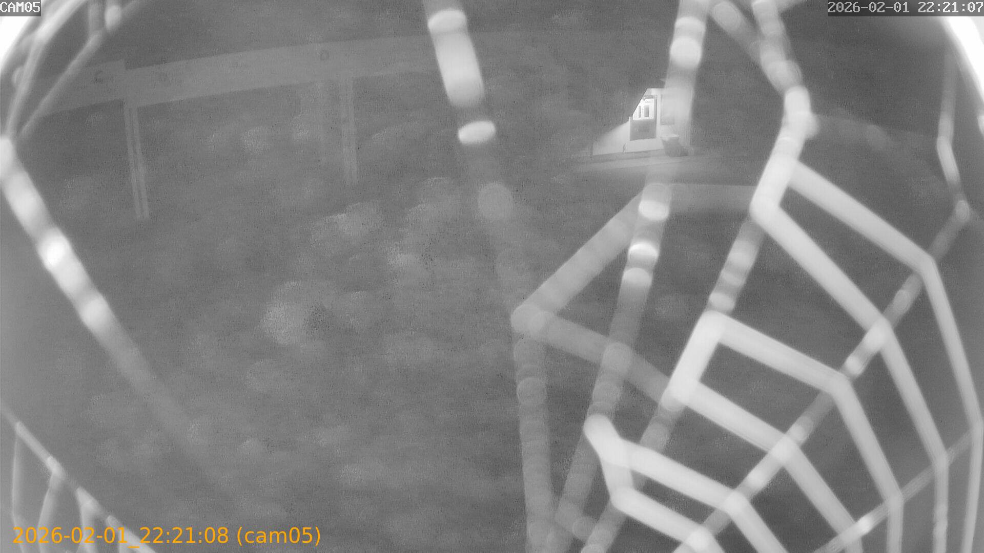 thumbnail_20260201222108