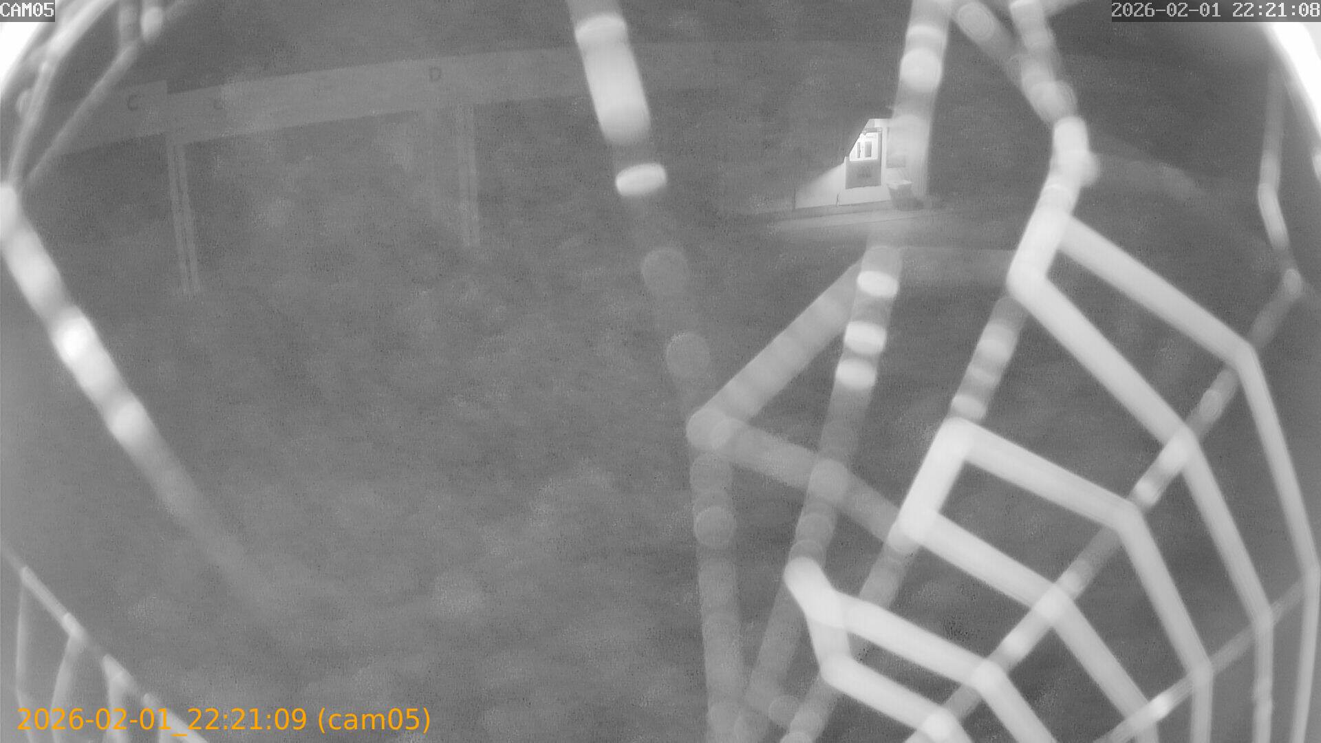 thumbnail_20260201222109