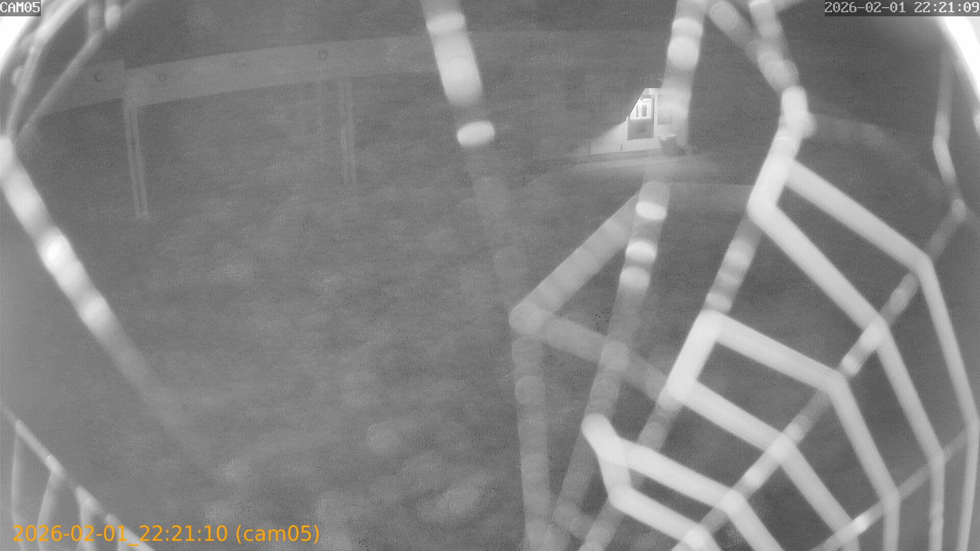 thumbnail_20260201222110