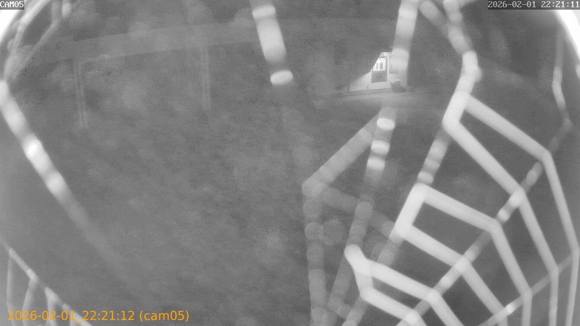 thumbnail_20260201222112