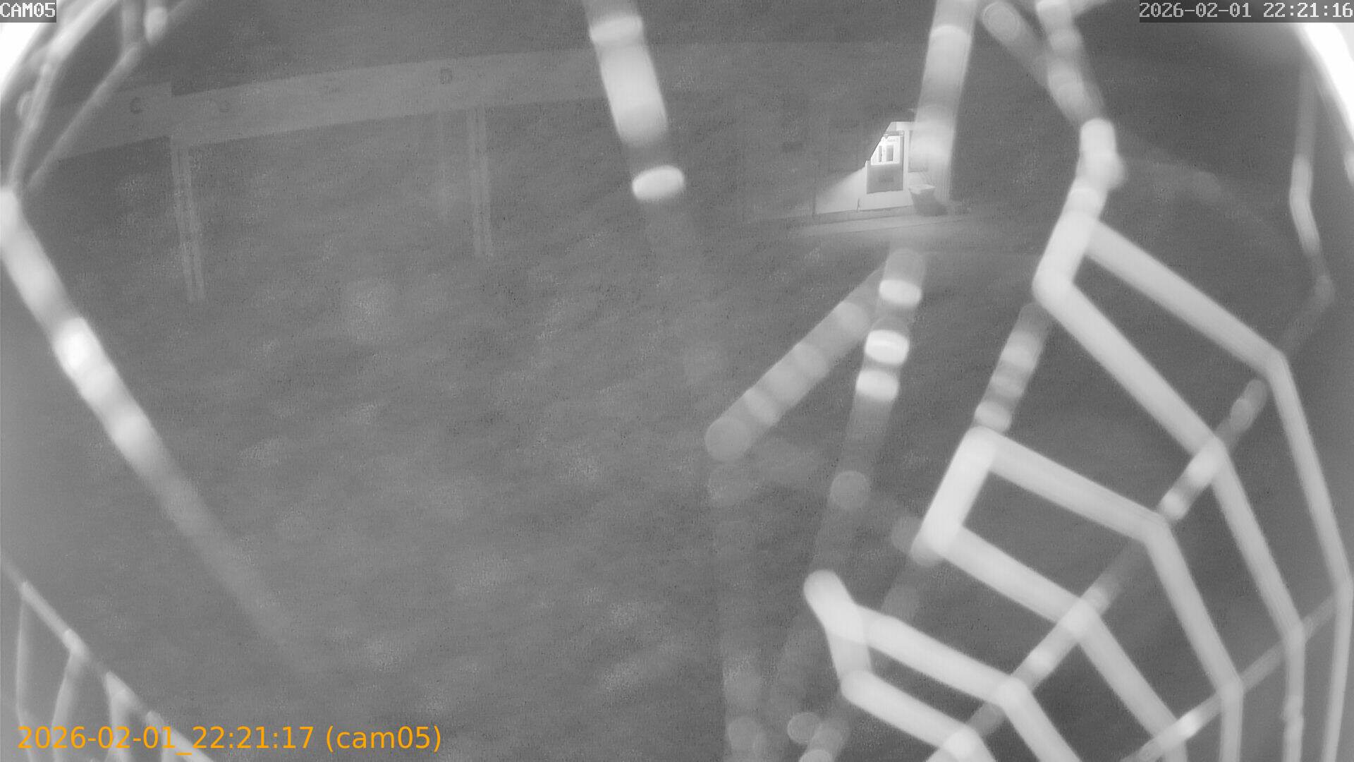 thumbnail_20260201222117