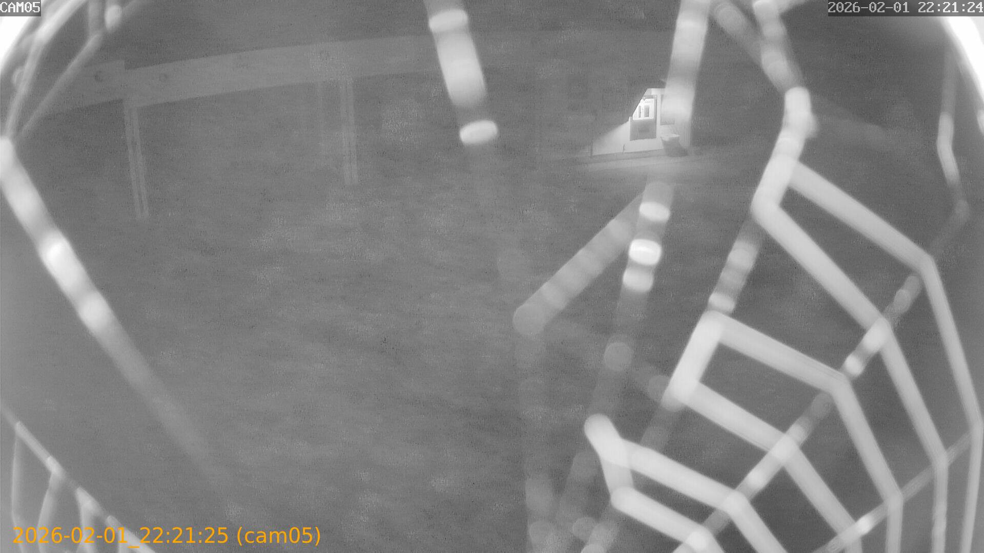 thumbnail_20260201222125