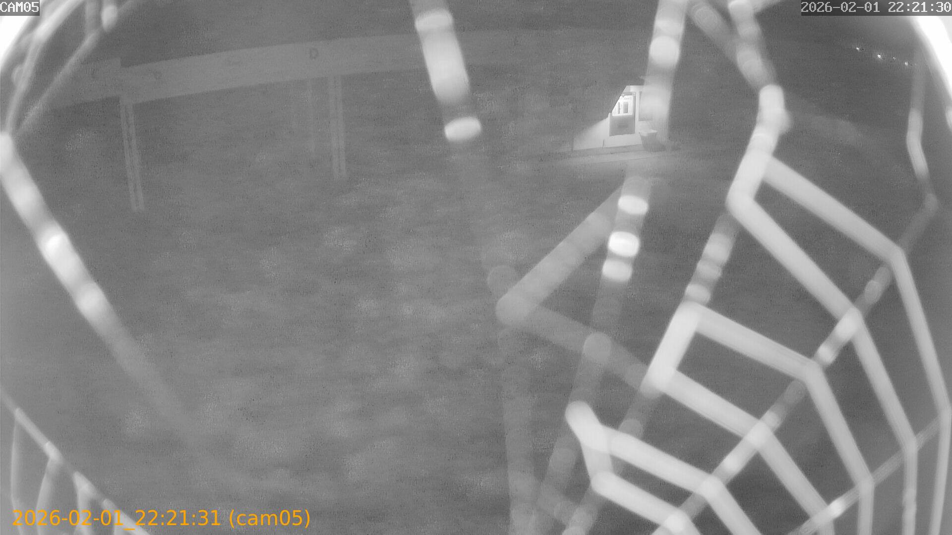 thumbnail_20260201222131