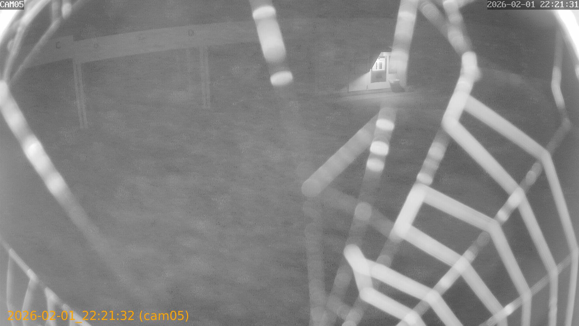 thumbnail_20260201222132