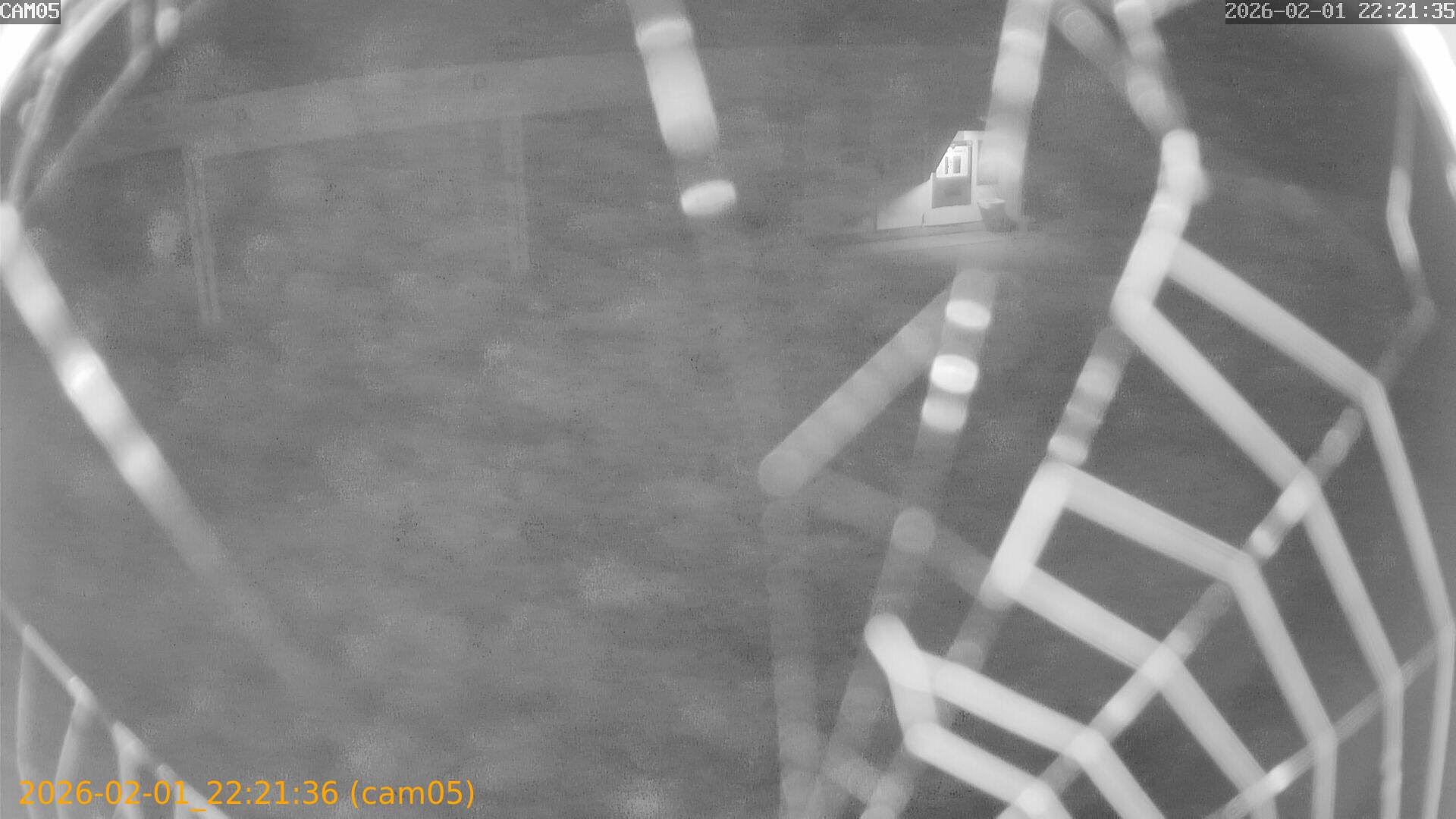 thumbnail_20260201222136