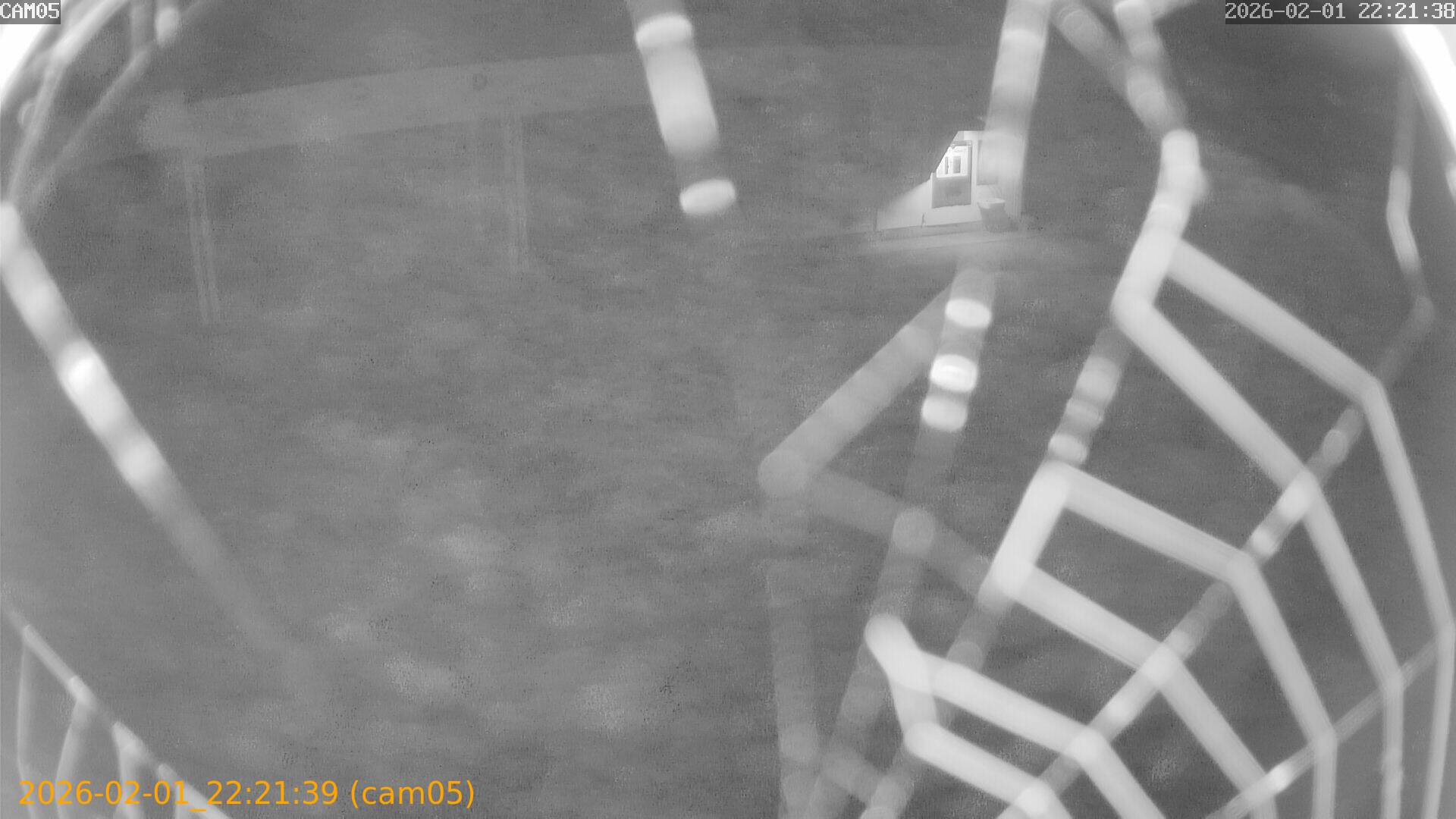 thumbnail_20260201222139