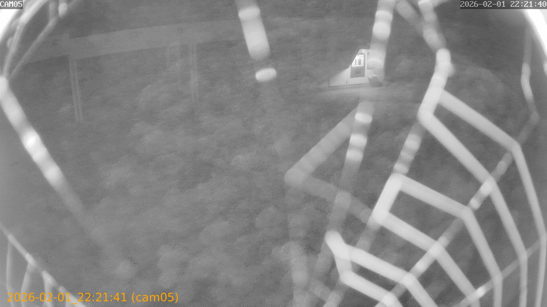 thumbnail_20260201222141