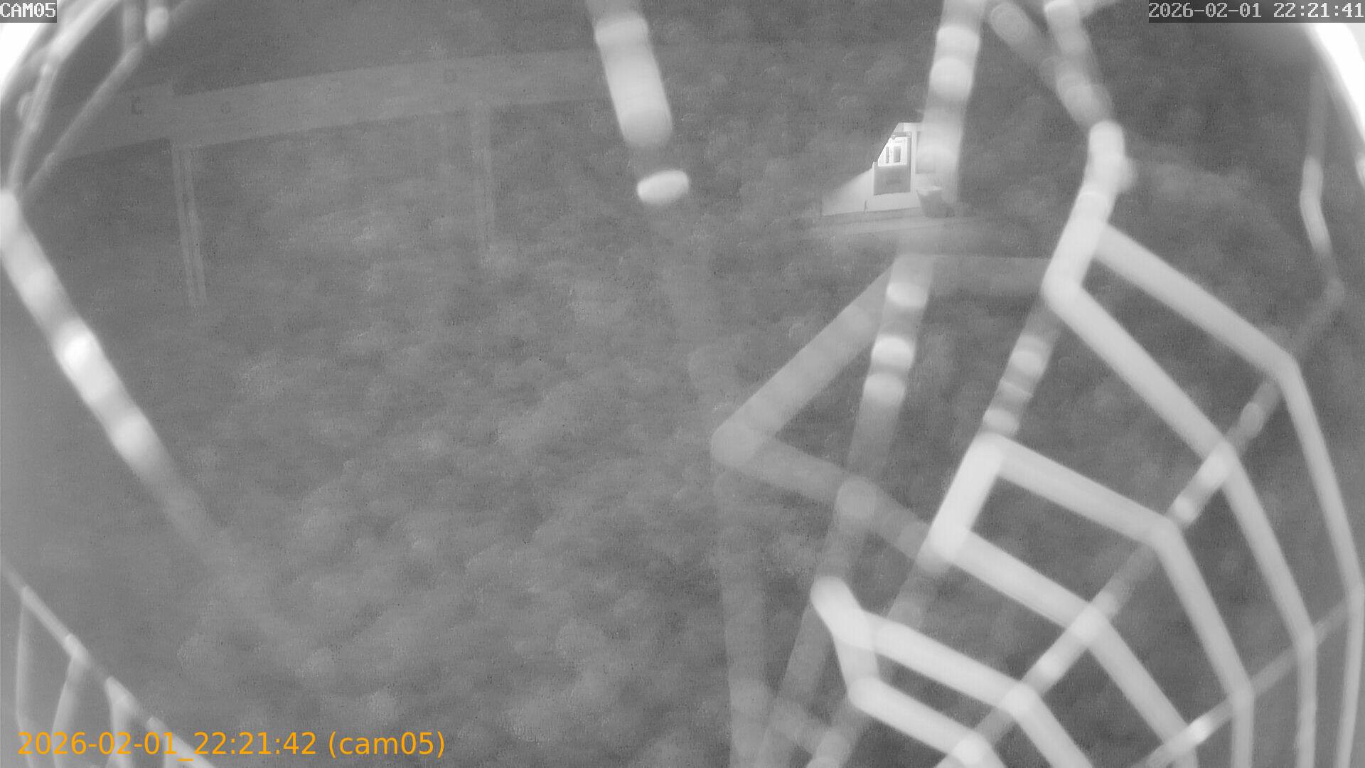 thumbnail_20260201222142