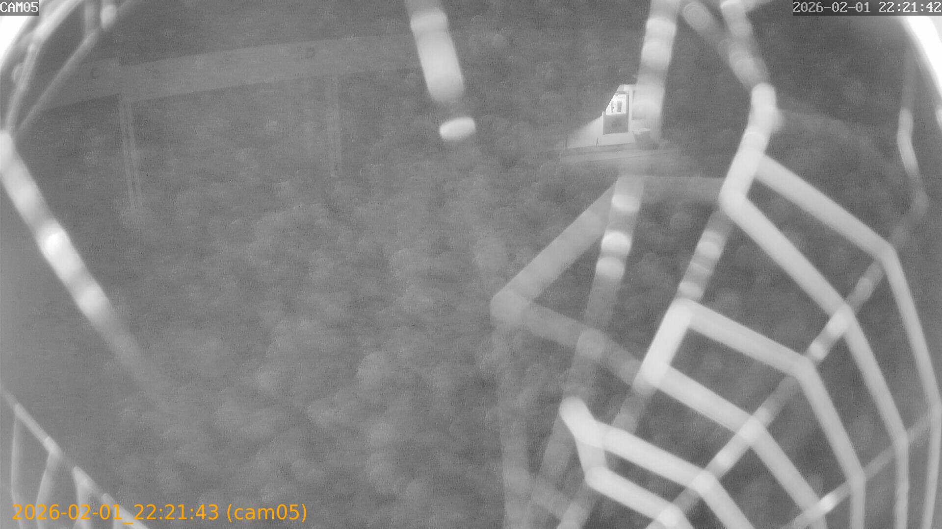 thumbnail_20260201222143