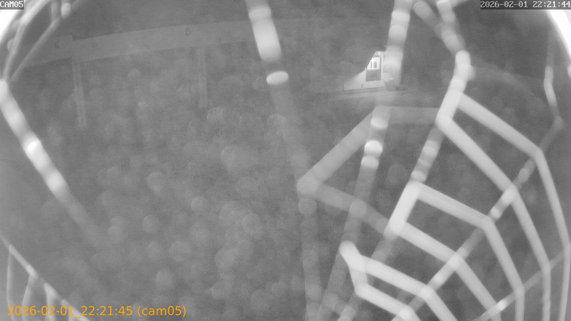 thumbnail_20260201222145