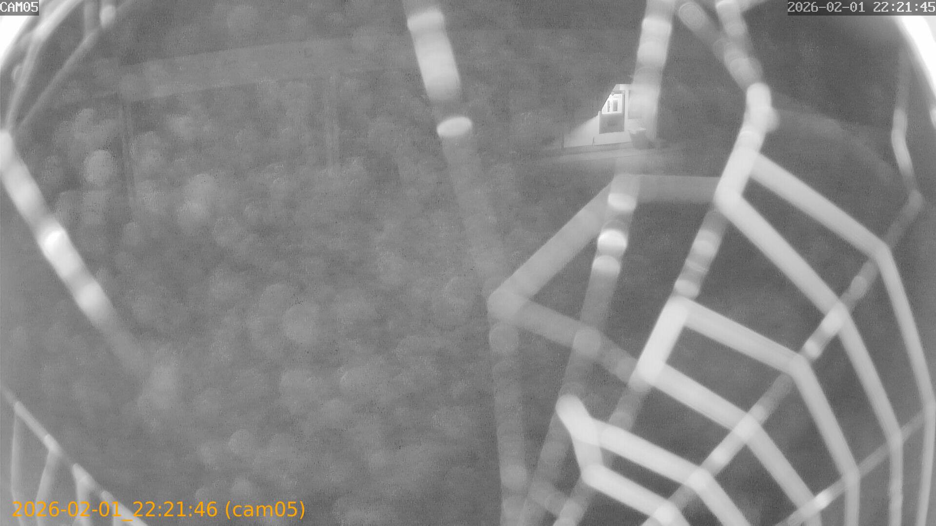 thumbnail_20260201222146