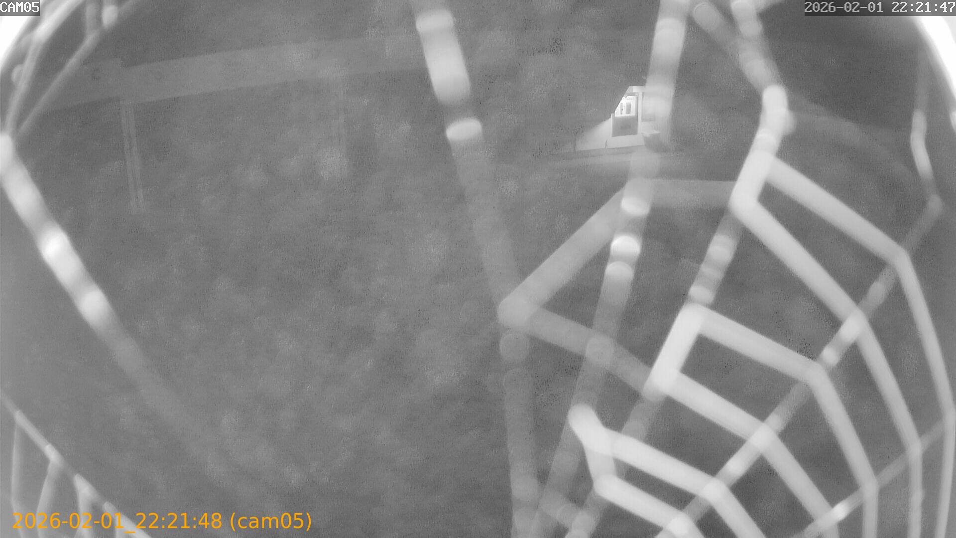 thumbnail_20260201222148