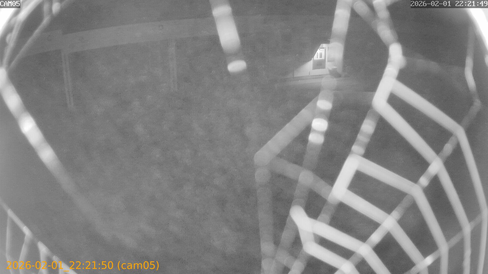 thumbnail_20260201222150