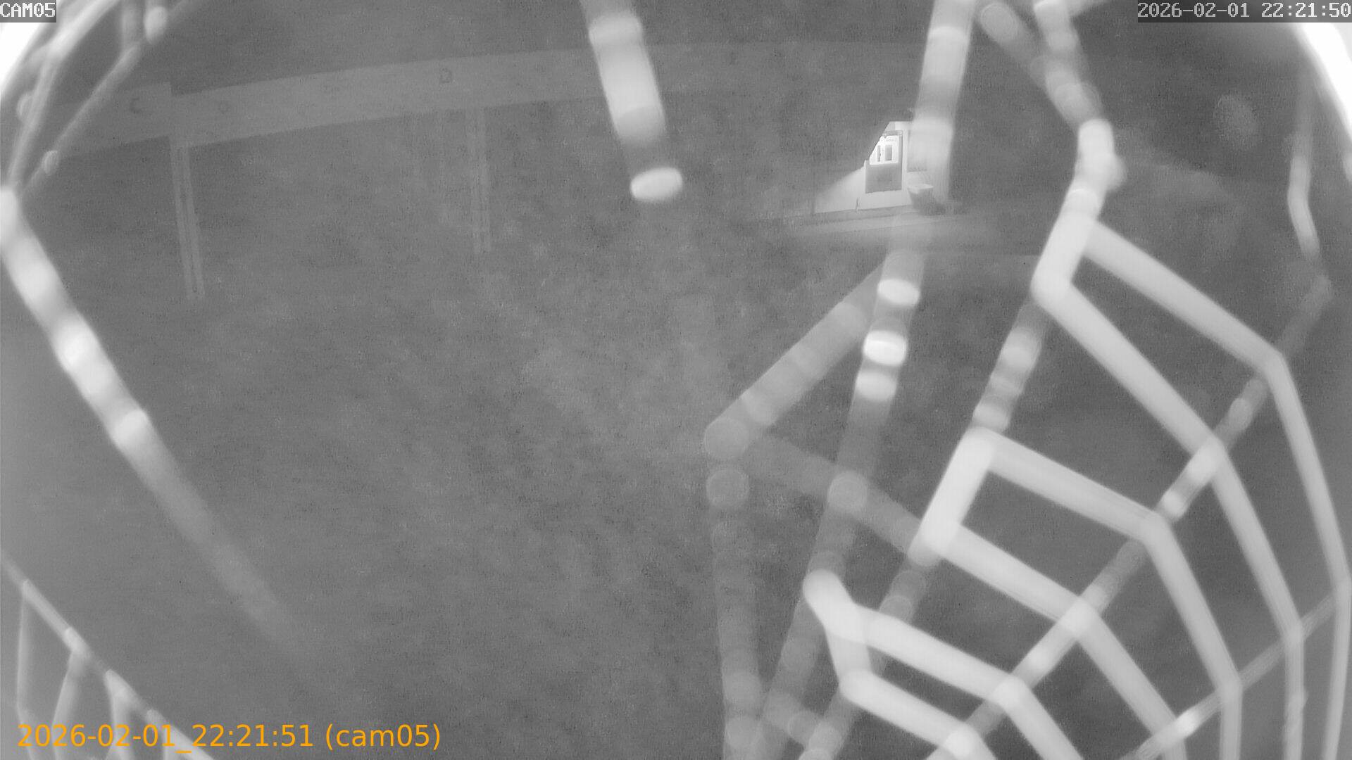 thumbnail_20260201222151