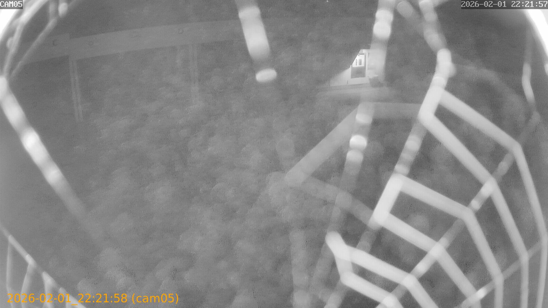 thumbnail_20260201222158