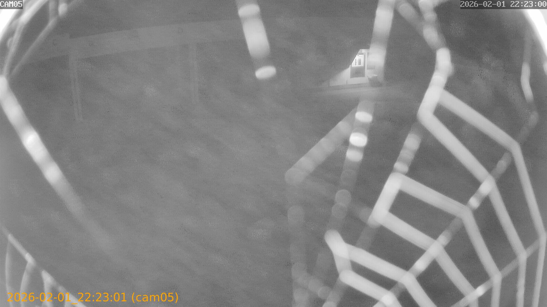 thumbnail_20260201222301