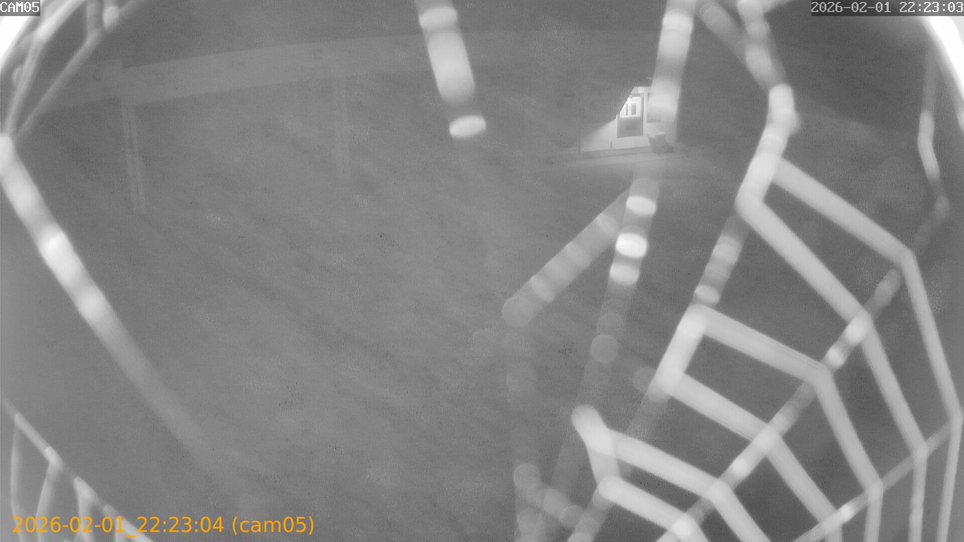 thumbnail_20260201222304