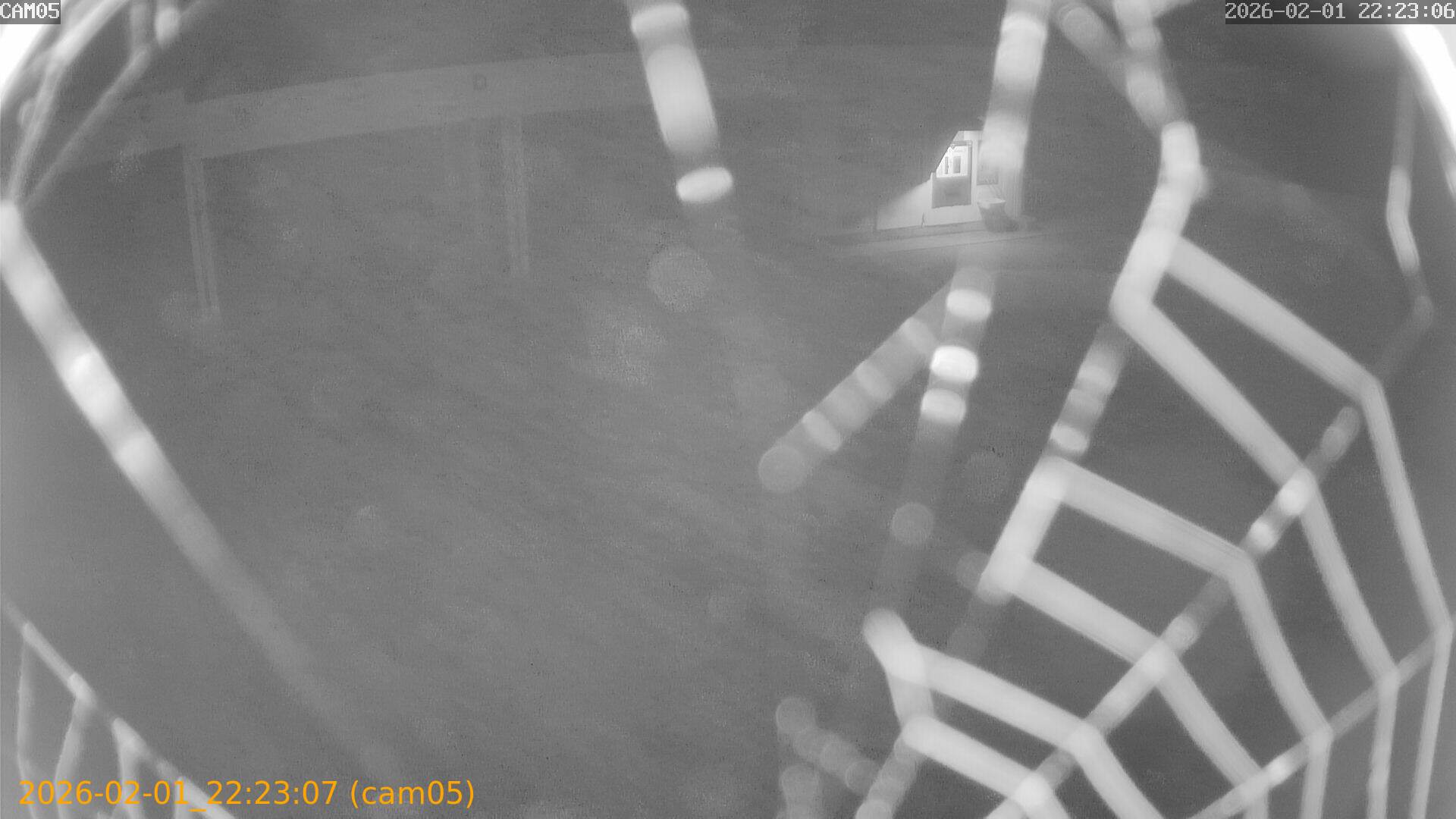 thumbnail_20260201222307