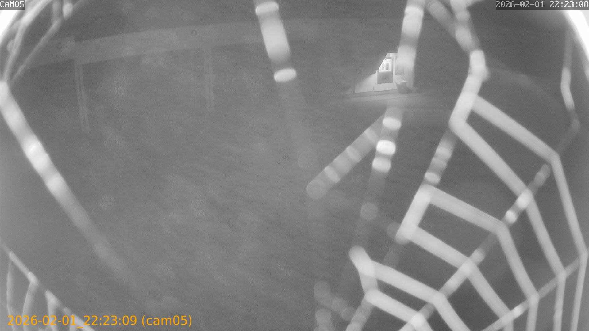 thumbnail_20260201222309