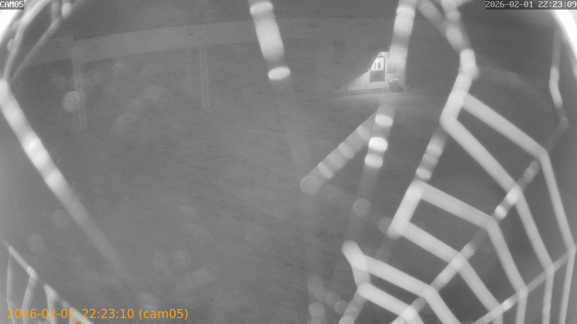 thumbnail_20260201222310