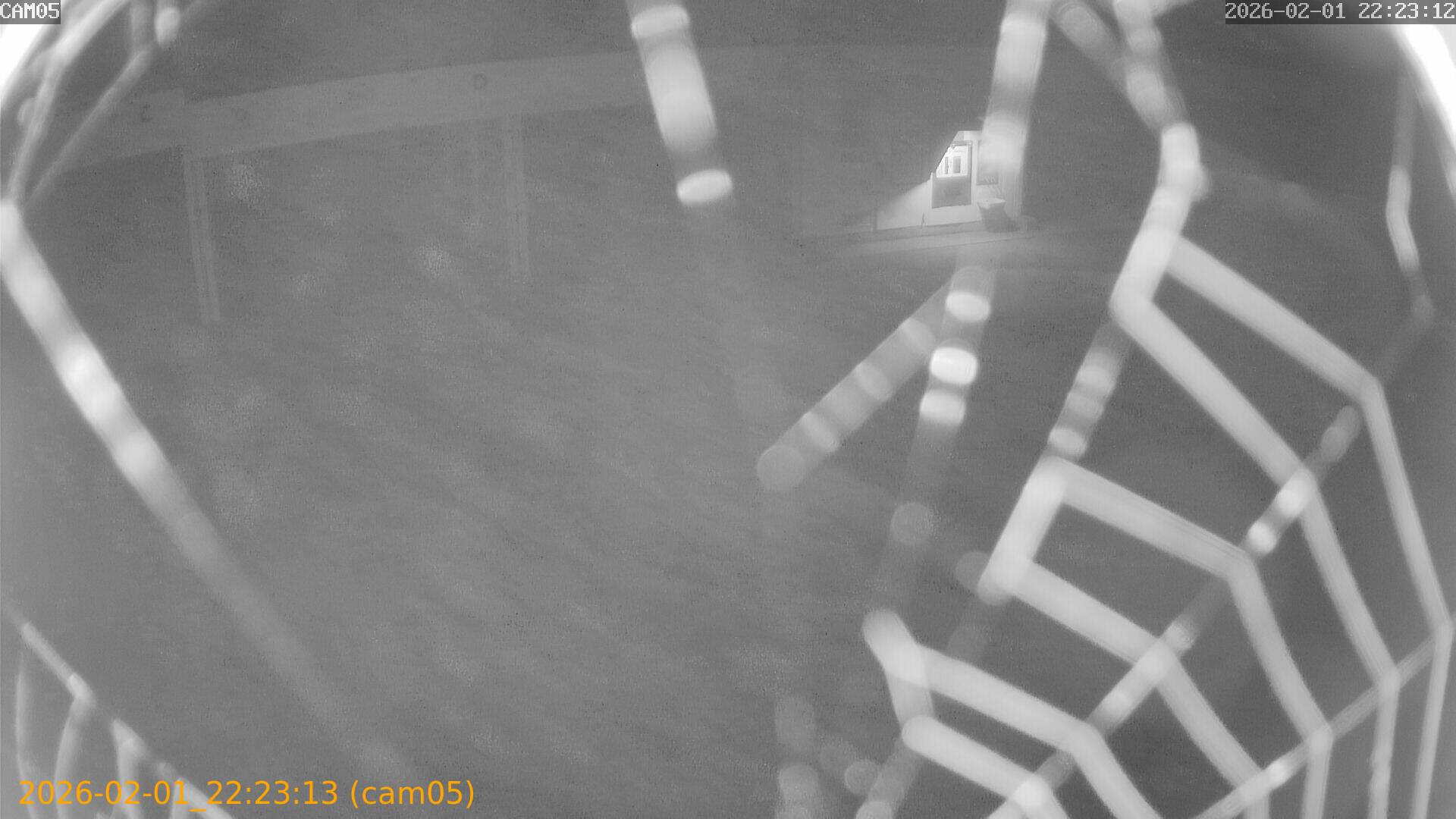 thumbnail_20260201222313