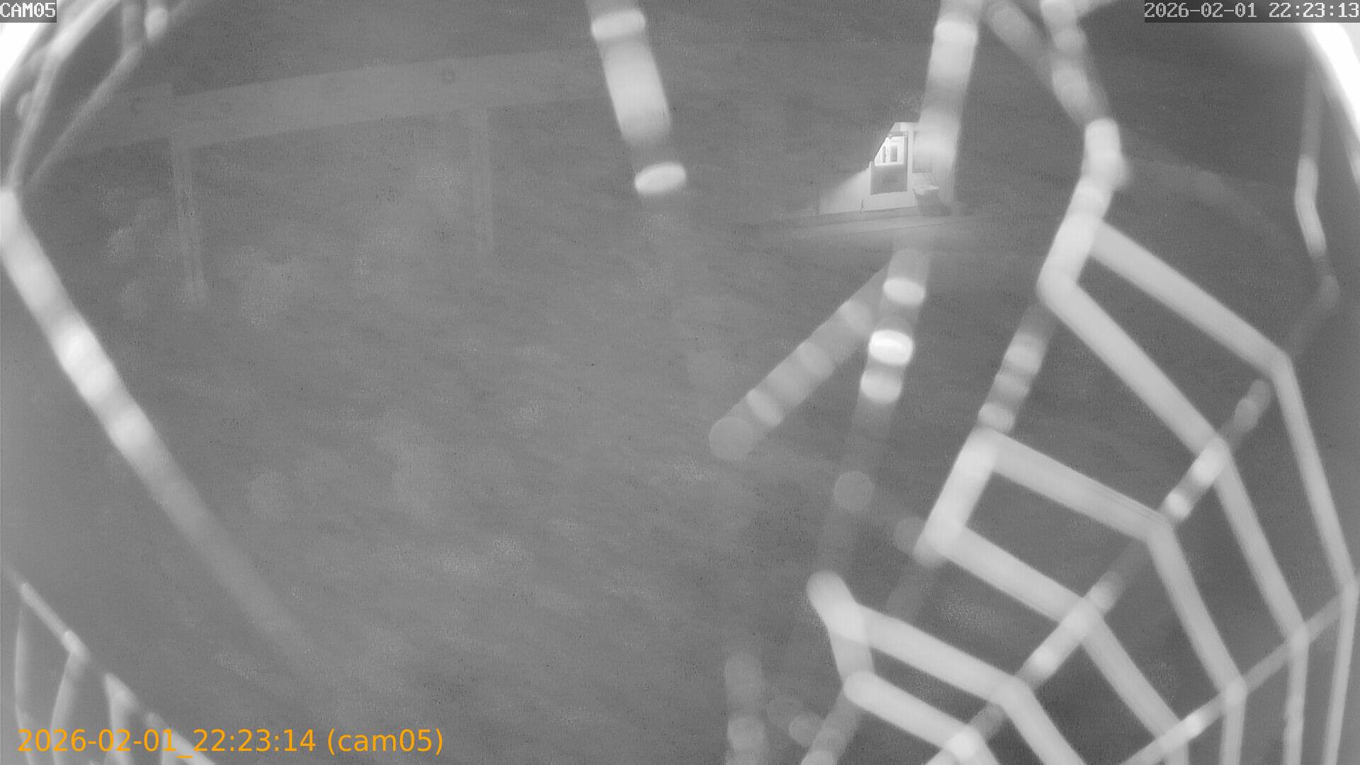 thumbnail_20260201222314